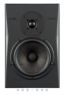 InRoom Gold MiniMonitor (painted finish)