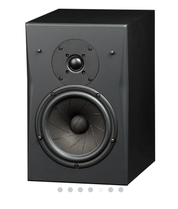 InRoom Gold MiniMonitor (painted finish)