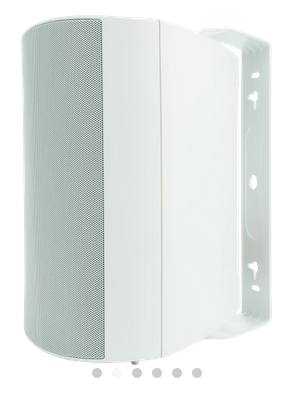 Outdoor OD25 (White) (Pair)