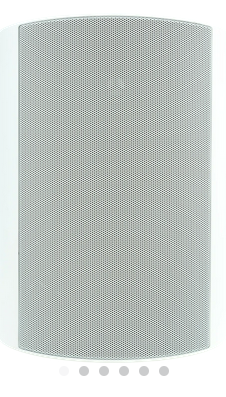 Outdoor OD25 (White) (Pair)